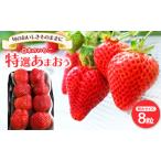 ふるさと納税 いちご いちご職人直送 白木のいちご 特選 あまおう (特大サイズ) 8粒 イチゴ 苺 果物 デザート ※配送不可：沖縄・離島 福岡県大刀洗町