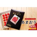 ふるさと納税 いちご 2月配送 しあわせもん あまおう 化粧箱 1箱 いちご職人 白木のいちご イチゴ 苺 果物 デザート ※配送不可:沖縄・離島 福岡県大刀洗町