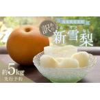 ふるさと納税 （訳あり）中野農園 梨 ”新雪梨” 5kg箱｜鳥取 岩美 梨 なし ナシ 赤梨 果物 フルーツ【41046】 鳥取県岩美町