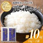 元気つくし 精白米 10kg
