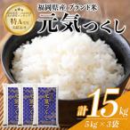 元気つくし 精白米 15kg
