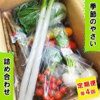 の大地のめぐみ 季節のやさい詰め合わせ