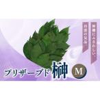 プリザーブド 榊 Mサイズ 1対 2束