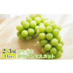 ふるさと納税 シャインマスカット2〜3房 1.1kg以上 北浦ファーム 243-001 山梨県笛吹市