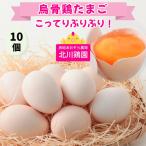 烏骨鶏 たまご 10個