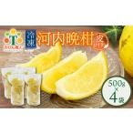 ふるさと納税 冷凍 み�