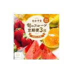 わかやま 旬のくだもの定期便 全3回 フルーツ