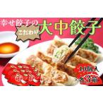ふるさと納税 餃子 幸せ餃子のボリューム満点こだわり大・中餃子(各3箱)/ 餃子 ギョウザ 手作り ジャンボ 餃子 食べ比べ 餃子 016-06-1 神奈川県秦野市