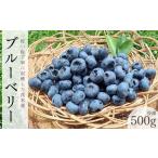 冷凍ブルーベリー500g ブルーベリー