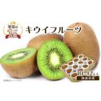 fu.... налог [ предшествующий предварительный заказ ] зеленый киви 10~12 шар входить [2026 год 1 месяц ~2 месяц отправка ] разделение слово киви Ehime префектура запад статья город Ehime префектура запад статья город 