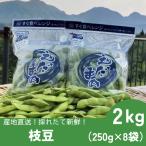 fu.... налог .. длина свежий!! высота гора .. ветка бобы 2kg Gunma префектура высота гора .
