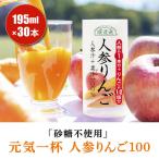 砂糖不使用 人参りんご 195g×30本