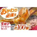 餃子 新助の餃子 ファミリーセット 100個入り