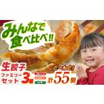餃子 生餃子 ファミリーセット 55個入り
