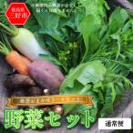 野菜 おまかせ セット 3~4種 旬の野菜 詰め合わせ