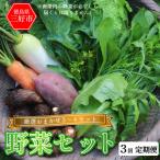 野菜 おまかせ セット 3~4種 旬の野菜 詰め合わせ