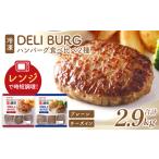 ふるさと納税 ハンバーグ食べ比べ 2種セット（計2.9kg）【07214-0316】 福島県本宮市