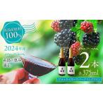 fu.... налог 2024 год производство нить остров производство BlackBerry Sparkling вино 375ml 2 шт. комплект / нить остров город / HYM FARM / sake красный вино [AHM003] Fukuoka префектура нить остров город 