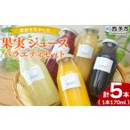 柑橘 フルーツ くだものみかん ブルーベリー