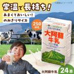 大阿蘇 牛乳 250ml24本入り BHBY011