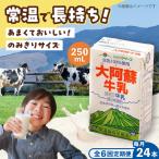 大阿蘇 牛乳 250ml24本入り BHBY023