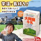 大阿蘇 牛乳 250ml24本入り BHBY024