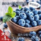 ふるさと納税 MS-31　新鮮生ブルーベリー1kg（6月採れ） 鳥取県大山町
