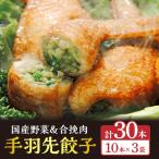 手羽先餃子30本入り 餃子 ぎょうざ 手羽餃子