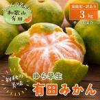 ご 青切り有田みかん 約3kg+200g
