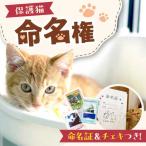 命名権 保護猫への名付け 特定非営利活動Cherish
