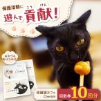 Cherish猫カフェ 回数券 10回分