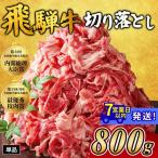牛肉 焼肉 バーベキュー チョイス 飛騨牛 切り落とし 800g