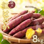 さつまいも 訳あり 約8kg