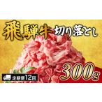 飛騨牛切り落とし 300g