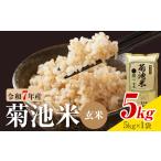 肥後米 無洗米 玄米 5kg