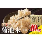 令和7年産 菊池米 白米 10kg