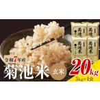 令和7年産 無洗米 米 ひのひかり 20kg