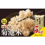 菊池米 白米 5kg
