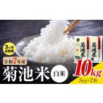 菊池米 白米 10kg
