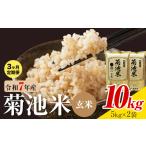 菊池米 玄米 10kg