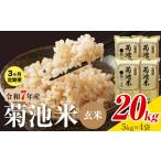 菊池米 玄米 20kg