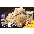 菊池米 白米 5kg