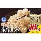 菊池米 玄米 10kg