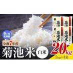 菊池米 玄米 20kg