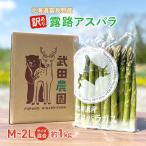 グリーンアスパラ 訳あり ご サイズ混合 富良野