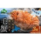 ふるさと納税 【訳あり】北海道・噴火湾産冷凍ボイル毛ガニ約250g前後〜約300g前後×3尾 新物 2025年6月〜7月水揚げ 毛ガニ 毛カニ 蟹 かに か.. 北海道森町