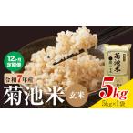 令和7年産 菊池米 5分づき 5kg