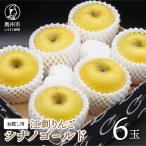 お試し用 江刺りんご シナノゴールド 約1.6kg