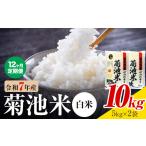 肥後米 無洗米 白米 10kg