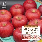りんご定期便 3回 11月~翌年1月 サンふじ